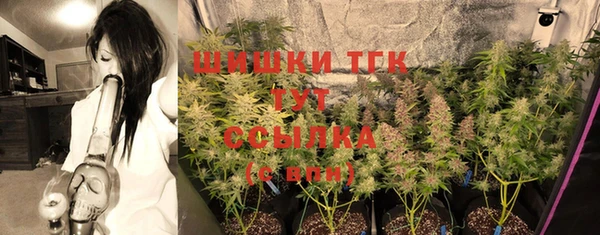 скорость Ладушкин