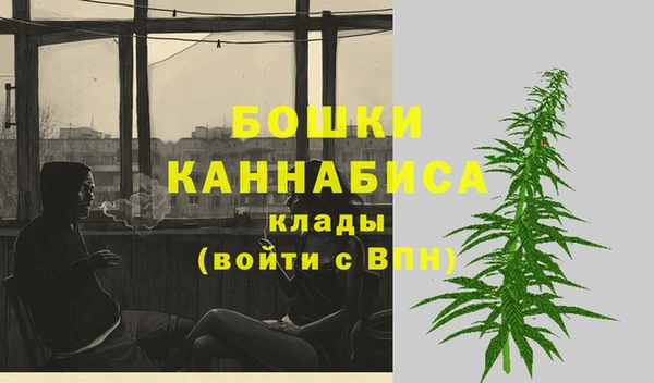 бошки Лабытнанги